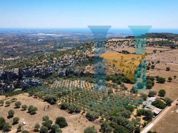 terreno agricolo in vendita a Noto