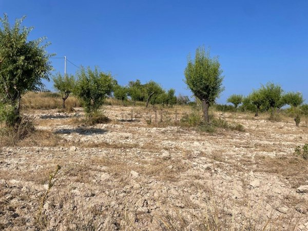 terreno agricolo in vendita a Noto