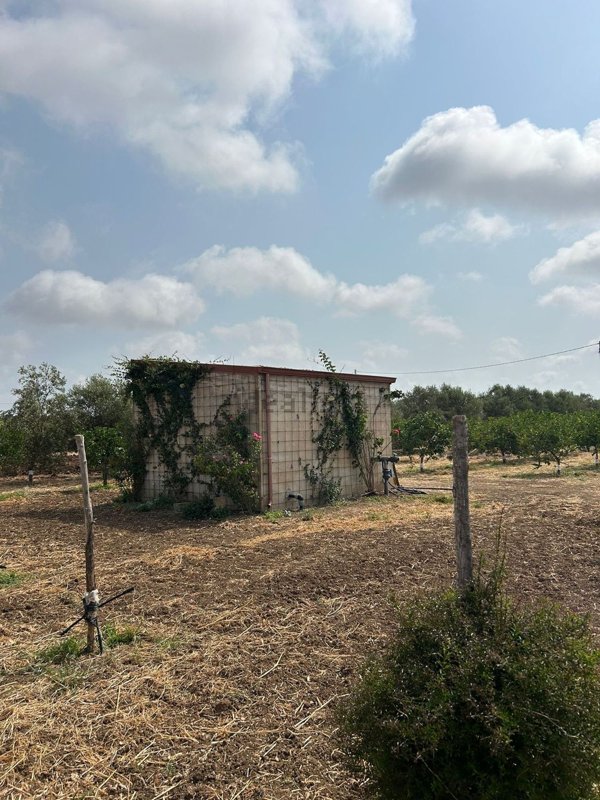 casa indipendente in vendita a Noto