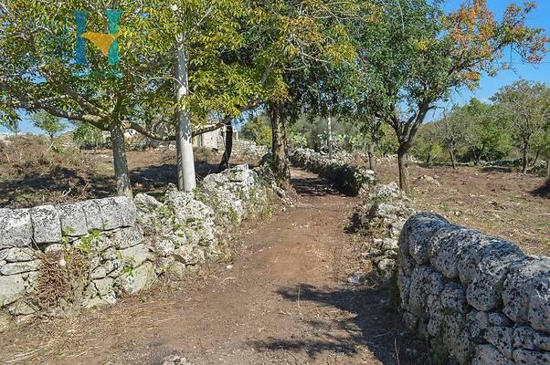 negozio in vendita a Noto in zona Vendicari