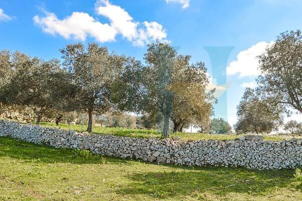 negozio in vendita a Noto