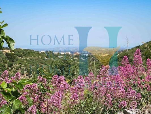 negozio in vendita a Noto