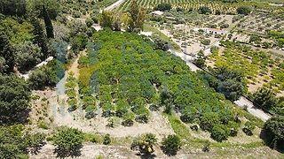 terreno agricolo in vendita a Noto