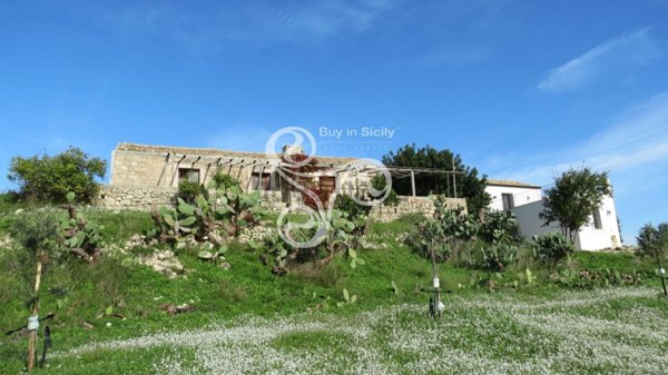 esavano in vendita a Noto