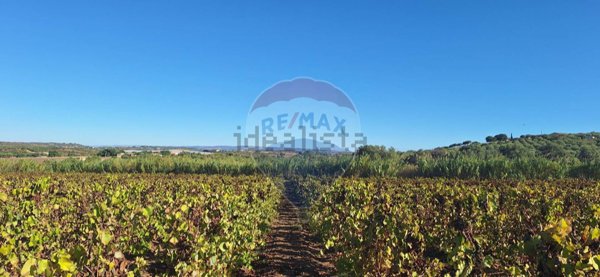 casa indipendente in vendita a Noto