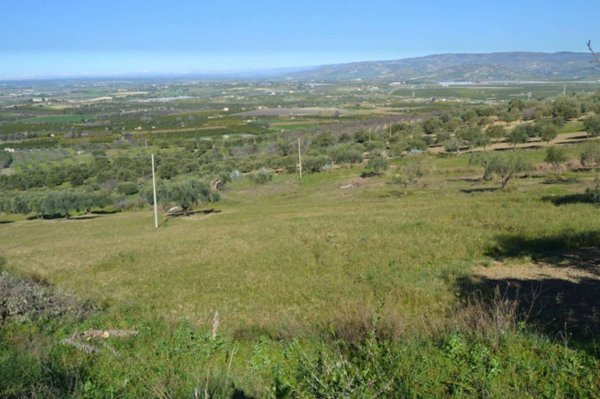 terreno agricolo in vendita a Noto