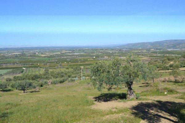 terreno agricolo in vendita a Noto