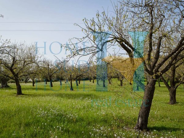 terreno agricolo in vendita a Noto