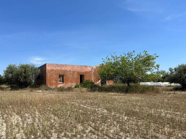 terreno agricolo in vendita a Noto in zona San Lorenzo
