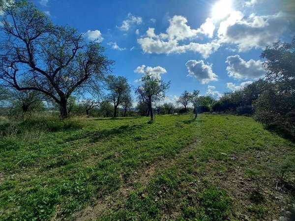 casa indipendente in vendita a Noto