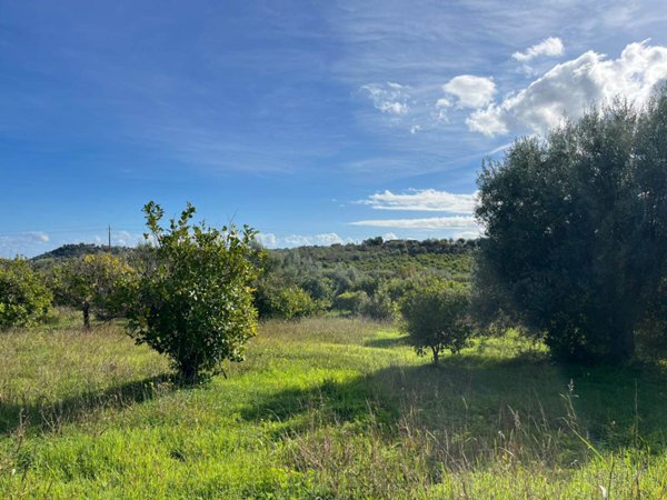 casa indipendente in vendita a Noto