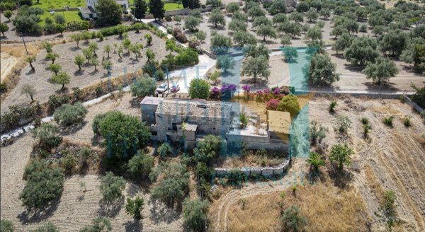 pentavano in vendita a Noto