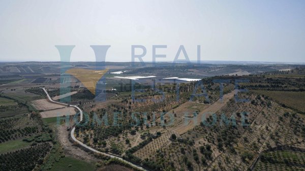 casa indipendente in vendita a Noto