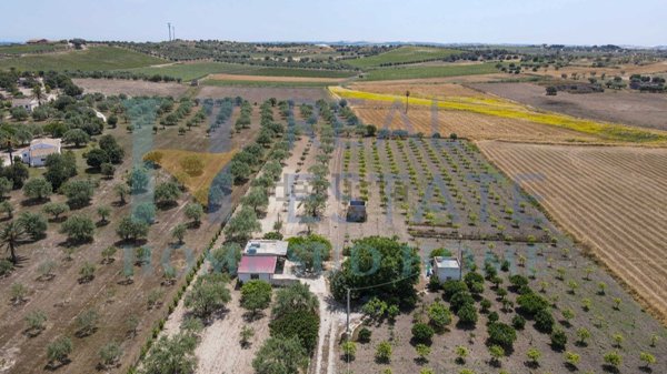 casa indipendente in vendita a Noto