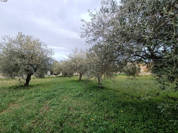 casa indipendente in vendita a Noto