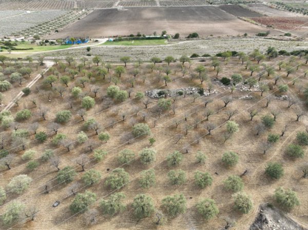 casa indipendente in vendita a Noto in zona Vendicari