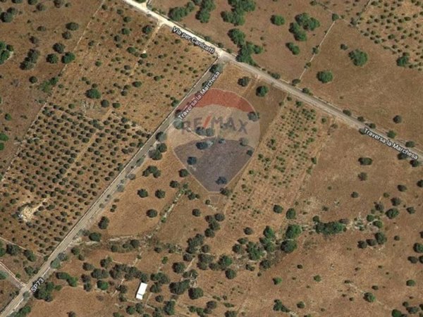 terreno agricolo in vendita a Noto