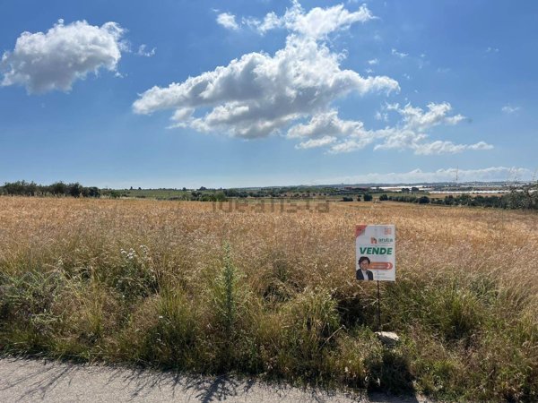 terreno agricolo in vendita a Noto