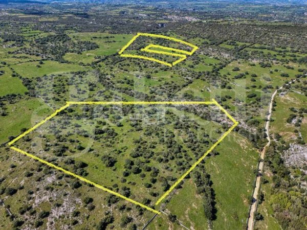 terreno agricolo in vendita a Noto