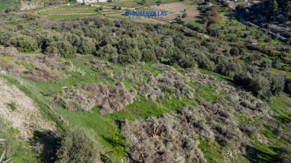 terreno agricolo in vendita a Noto