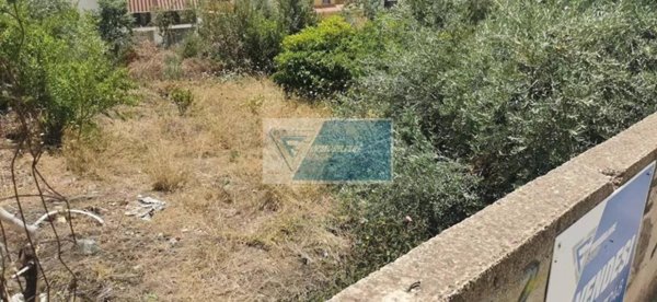 terreno agricolo in vendita a Noto