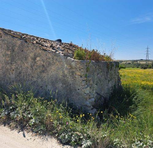terreno agricolo in vendita a Noto