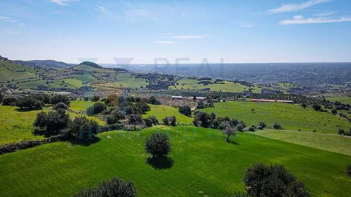 negozio in vendita a Noto