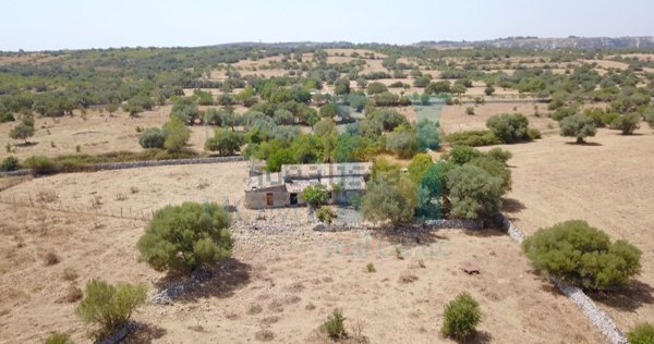 esavano in vendita a Noto