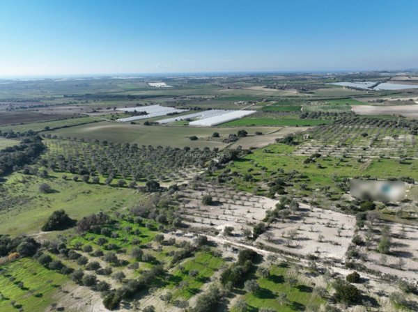 casa indipendente in vendita a Noto in zona Vendicari