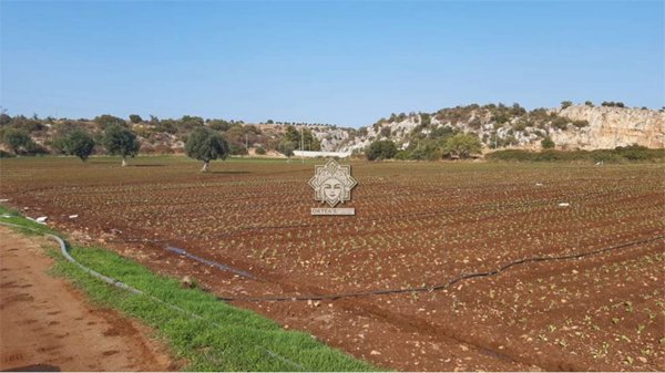 terreno agricolo in vendita a Noto
