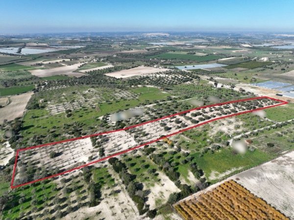 terreno agricolo in vendita a Noto in zona Vendicari