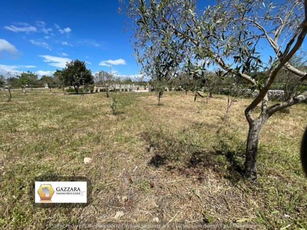 terreno agricolo in vendita a Noto