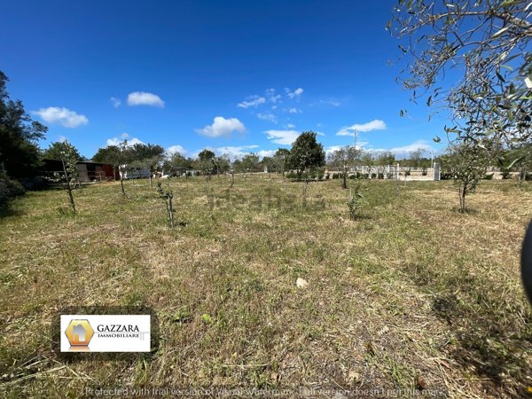 terreno agricolo in vendita a Noto