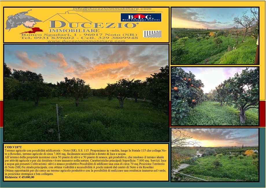 immagine annuncio 0 di 5