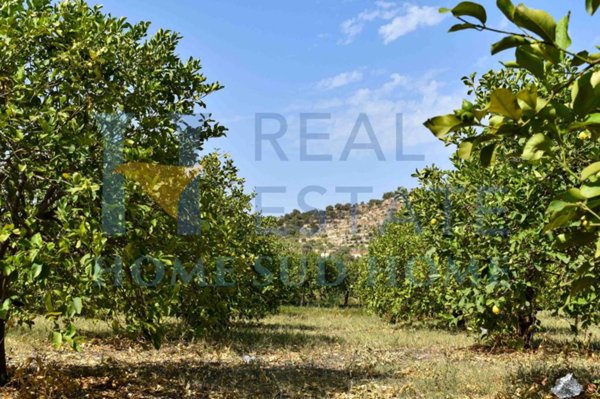 terreno agricolo in vendita a Noto in zona Vendicari