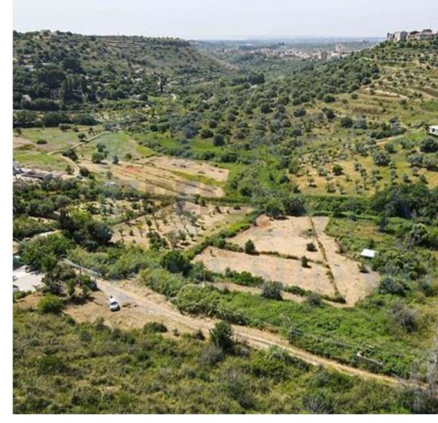 terreno agricolo in vendita a Noto