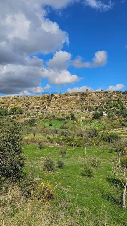 terreno agricolo in vendita a Noto