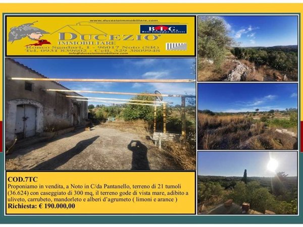 negozio in vendita a Noto