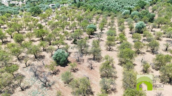 terreno agricolo in vendita a Noto