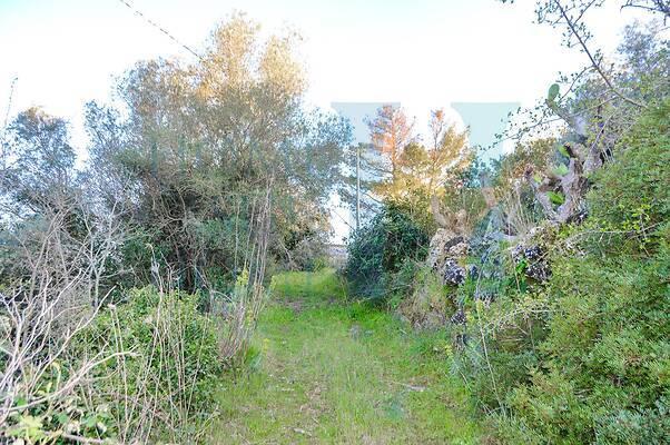 negozio in vendita a Noto