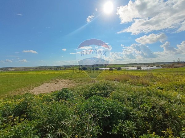 terreno agricolo in vendita a Noto