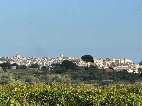 terreno agricolo in vendita a Noto