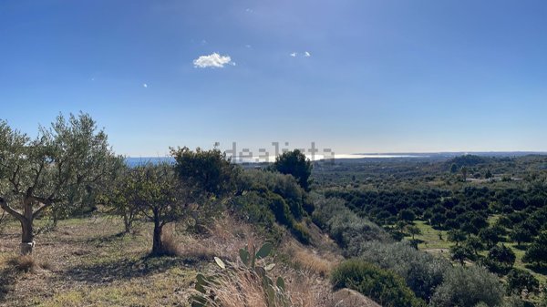 terreno agricolo in vendita a Noto in zona Lido di Noto