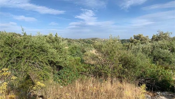 terreno agricolo in vendita a Noto