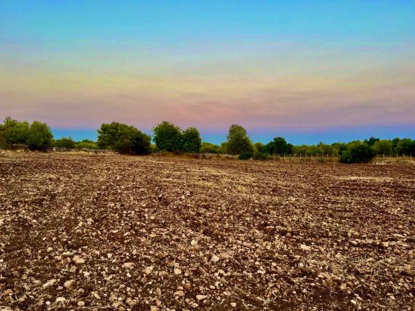 terreno agricolo in vendita a Noto