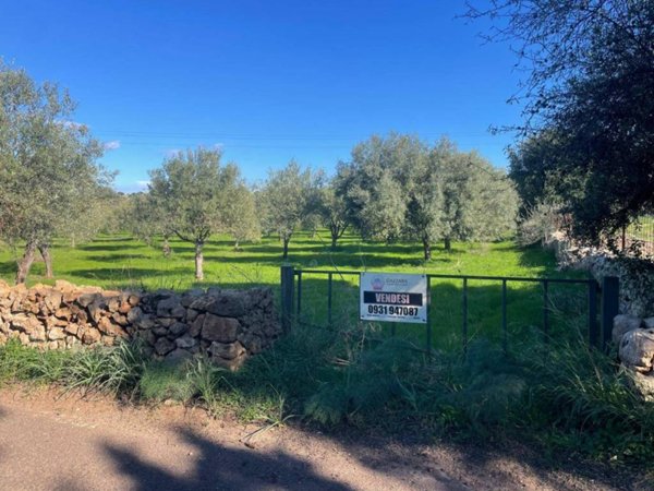 terreno agricolo in vendita a Noto