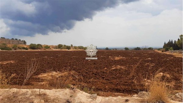 terreno agricolo in vendita a Noto