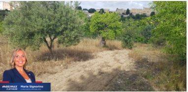 terreno agricolo in vendita a Noto in zona San Corrado di Fuori