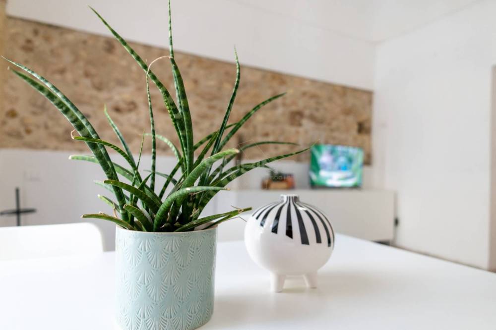 appartamento in vendita a Noto