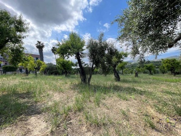 terreno agricolo in vendita a Noto in zona Madonna Marina